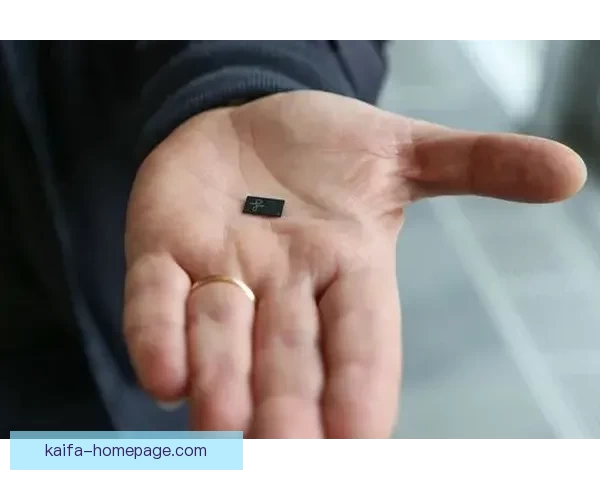 2026世界杯夺冠热门球队深度分析与赛程前瞻